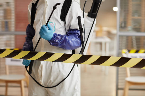 Professional Sewage Cleanup technician working in Mcbrides, MI