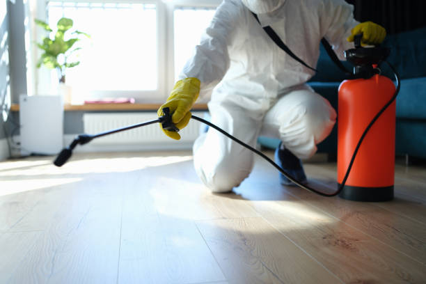 Reliable Sewage Cleanup contractor in Mcbrides, MI by Trauma Clean Pros